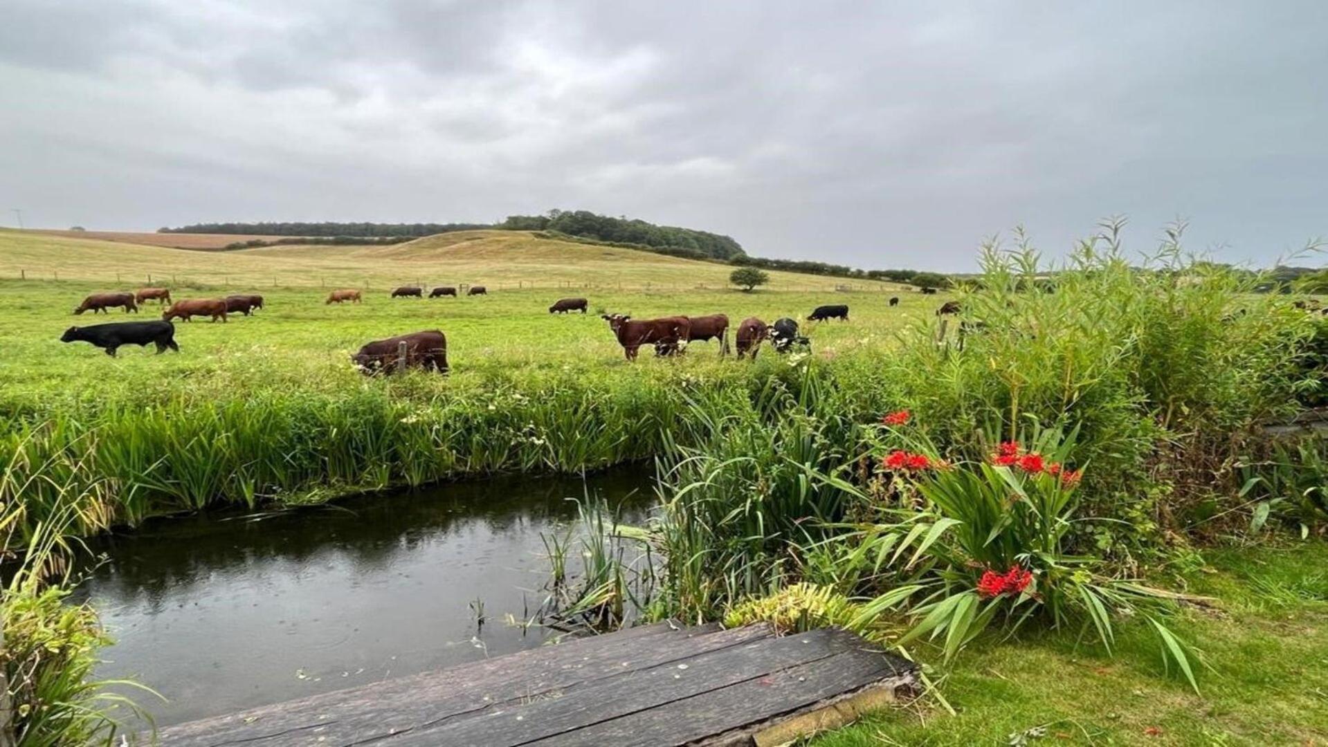Flint Cottage Stiffkey Esterno foto